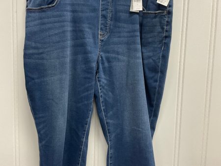 Capris By Lane Bryant In Blue Denim, Size: 22 Online Hot Sale