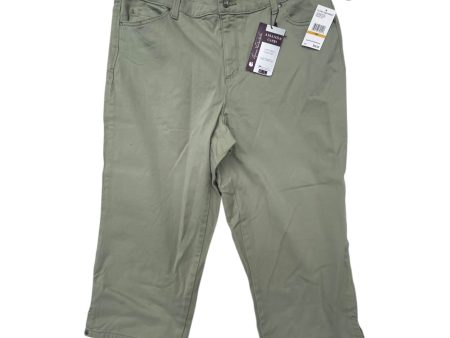 Capris By Gloria Vanderbilt In Green, Size: 16 For Cheap