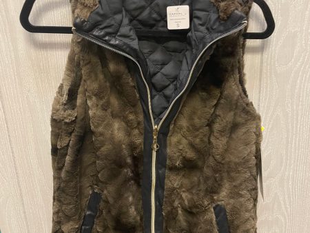 Vest Faux Fur & Sherpa By Casual Identity  In Brown, Size: S Online Hot Sale