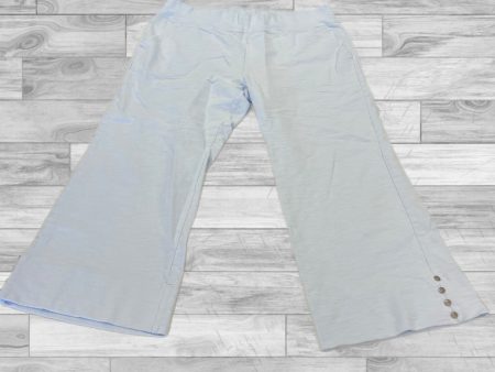 Capris By Clothes Mentor In Blue, Size: L Fashion