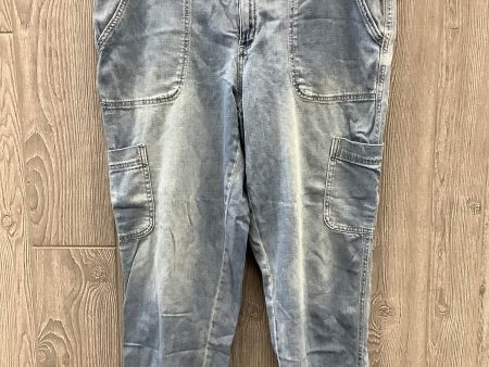 Pants Cargo & Utility By Sonoma In Blue, Size: 14 Discount